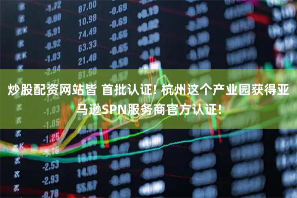 炒股配资网站皆 首批认证! 杭州这个产业园获得亚马逊SPN服务商官方认证!