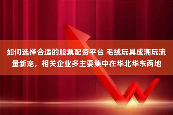 如何选择合适的股票配资平台 毛绒玩具成潮玩流量新宠，相关企业多主要集中在华北华东两地
