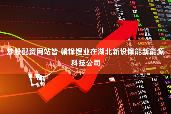炒股配资网站皆 赣锋锂业在湖北新设锋能新能源科技公司
