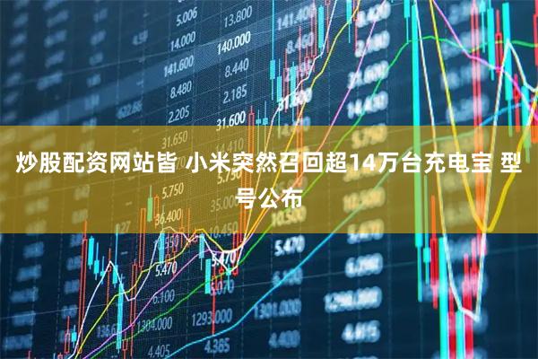 炒股配资网站皆 小米突然召回超14万台充电宝 型号公布