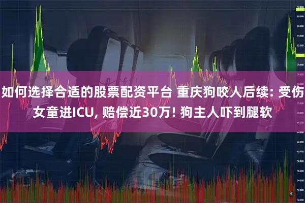 如何选择合适的股票配资平台 重庆狗咬人后续: 受伤女童进ICU, 赔偿近30万! 狗主人吓到腿软