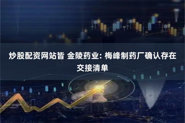 炒股配资网站皆 金陵药业: 梅峰制药厂确认存在交接清单
