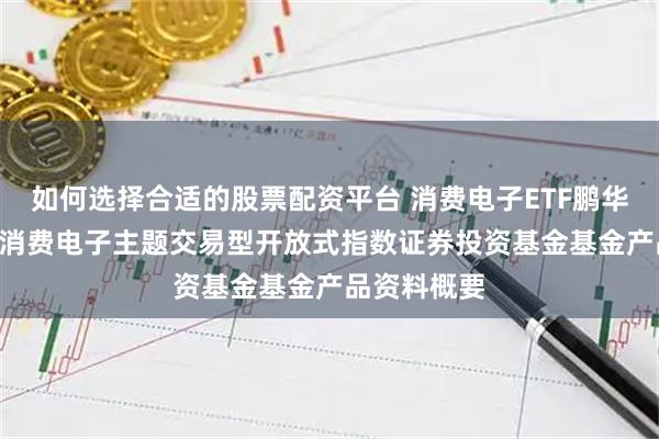 如何选择合适的股票配资平台 消费电子ETF鹏华: 鹏华国证消费电子主题交易型开放式指数证券投资基金基金产品资料概要