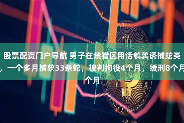 股票配资门户导航 男子在禁猎区用活鹌鹑诱捕蛇类，一个多月捕获33条蛇，被判拘役4个月，缓刑8个月